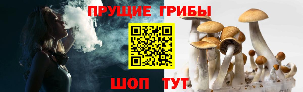 Псилоцибиновые грибы Cubensis  Вход с VPN  Семёнов 